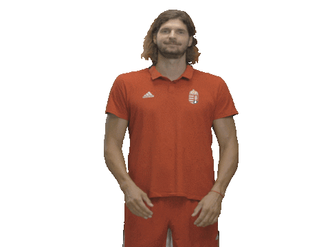 Hungary Kézilabda Sticker by Watch Games. See More.