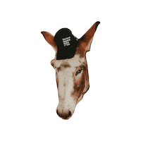 Horserescue Sticker by All Seated in a Barn