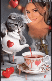 Para Todos Feliz GIF by Murcianys LLC