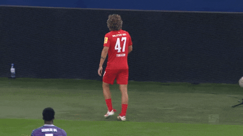 Kiel Ahoi GIF by Holstein Kiel