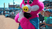 Pink Mascot GIF by St. Paul Saints