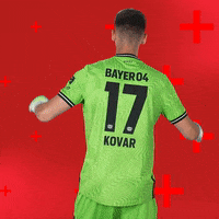 Bayer 04 Bundesliga GIF by Bayer 04 Leverkusen