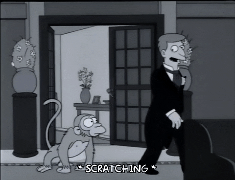 season 4 GIF