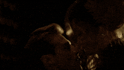fox tv kiss GIF by STAR