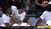 Wnba Playoffs GIF by WNBA