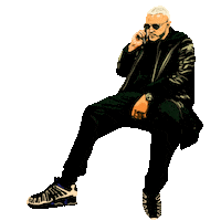 Dj Snake Sticker
