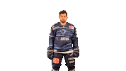 ercingolstadt hockey gloves erc erci Sticker