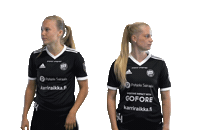 Turun Palloseura Floorball Sticker by F-liiga
