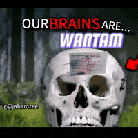 Our Brains Are GIF