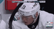 nhl sports sport smile laugh GIF