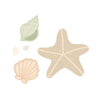 Summer Beach Sticker by My Baby Factory