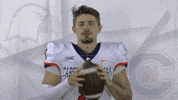 Carson Newman Football GIF by Carson-Newman Athletics