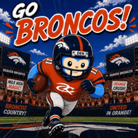 Denver Broncos Football GIF by Respective