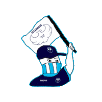 edusportacademy academy braves caledonian edusport Sticker