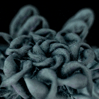 Animation Loop GIF by xponentialdesign