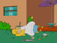 homer simpson GIF