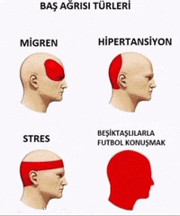 Galatasaray GIF