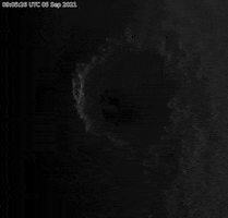 Hurricane Larry GIF by GIPHY News