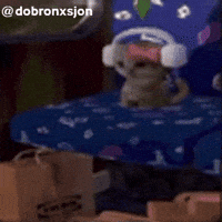 Cat Catty GIF