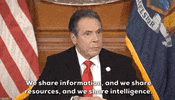 Andrew Cuomo GIF