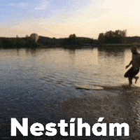 Frodo GIF by LABOR Wakeskate