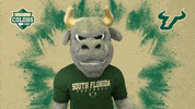 Excited College Sports GIF by College Colors Day