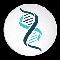 Segmedic segmedic segmedicsaude GIF