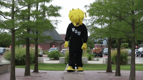 Wu_Shock giphyupload college wsu wu GIF