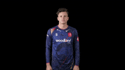 Celebration GIF by Essex Cricket