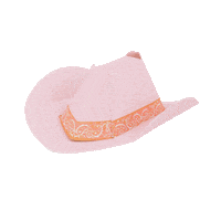 Taylor Swift Country Sticker by Meri Meri