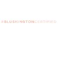 Blushington Academy For Artist Advancement Sticker by Blushington