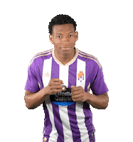 Football Soccer Sticker by Real Valladolid