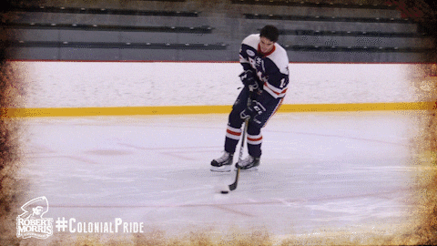 happy ice hockey GIF by Robert Morris University Athletics