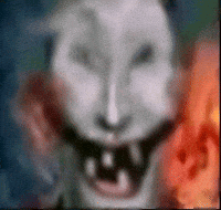 loxyysgif  GIF