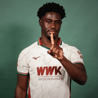 Bundesliga GIF by FC Augsburg 1907