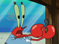 season 3 GIF by SpongeBob SquarePants