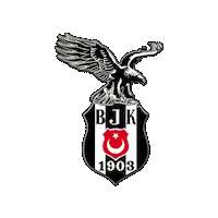 Futbol Arma Sticker