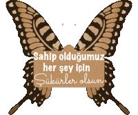 Mnkscuma Sticker