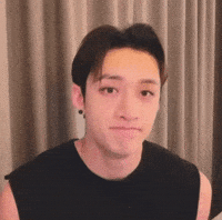 Stray Kids Ok GIF