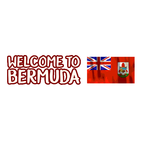 Flag Bermuda Sticker by Bermemes