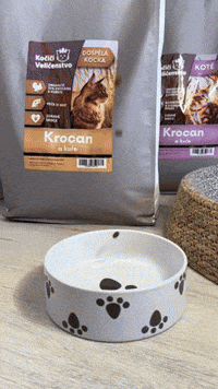 Cat Food GIF by Kočičí Veličenstvo