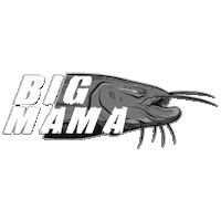 CatfishWorld fishing predator catfish silure Sticker