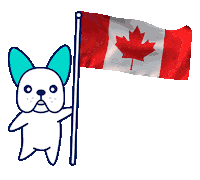 Canadian Car Sticker by olive