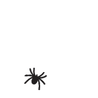 Halloween Spider Sticker by Sugarwish
