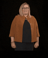 fdpfraktionlsa fdplsa fdpfraktionlsa tarricone ktarricone GIF