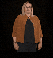 fdpfraktionlsa fdplsa tarricone ktarricone fdpfraktionlsa GIF