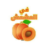 Fruit Sticker by Jawal Games
