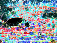 art colors GIF by MFD