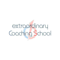 Ecs Sticker by Extraordinary Coaching