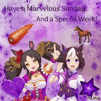 kitaru_kismet13 umamusume special week marvelous sunday GIF